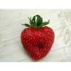 Flavor :  Strawberry par AZURE VAPING