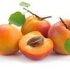 Flavor :  Apricot Natural by Baker Flavors