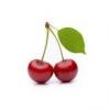 Arôme : Cherry
Dernière mise à jour le : 05-03-2016 Arôme : Cherry
Dernière mise à jour le : 05-03-2016