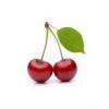 Arme :  Cherry 
Dernire mise  jour le :  05-03-2016 