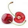 Flavor :  Cherry With Core by Baker Flavors