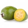 Arôme : Feijoa
Dernière mise à jour le : 04-03-2016 Arôme : Feijoa
Dernière mise à jour le : 04-03-2016