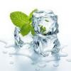 Flavor :  Menthol Natural by Baker Flavors