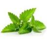 Flavor :  Mint Natural by Baker Flavors