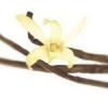 Flavor :  Vanilla by Baker Flavors