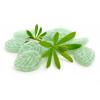 Flavor :  Waldmeister by betterSmoke