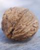 Flavor :  Black Walnut par BICKFORD FLAVORS