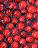 Flavor :  Cranberry by Bickford Flavors