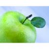 Flavor :  Green Apple by Bickford Flavors