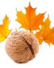 Flavor :  Maple Walnut by Bickford Flavors