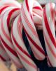 Flavor :  Peppermint Ws by Bickford Flavors