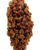Flavor :  Raisin par BICKFORD FLAVORS