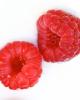 Flavor :  Raspberry Red by Bickford Flavors