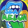 Flavor :  Sea Melon by Big Mouth