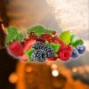 Flavor :  Fruits Des Bois by Bio Concept