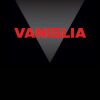 Flavor :  Vaniglia by BlendFEEL