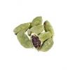 Flavor :  Cardamom by Blue Star