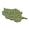 Flavor :  Og Kush par BLUE STAR