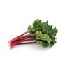 Flavor :  Rhubarb by Blue Star