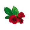 Flavor :  Rose by Blue Star