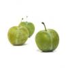 Flavor :  Sour Plum by Blue Star