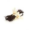 Flavor :  Vanilla by Blue Star