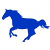 Flavor :  Bla Galop by Bolsjehuset