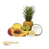 Flavor :  Tropical by Bolsjehuset