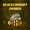 Flavor :  Blackcurrant Swarm by BumbleBee