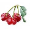Flavor :  Cerise by Calibra
