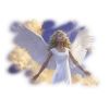 Flavor :  Cocktail Dream Angel par CALIBRA
