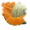 Flavor :  Givre Melon by Calibra