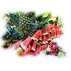 Flavor :  Givre Tropical by Calibra