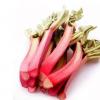 Flavor :  Rhubarb by Capella Flavors Inc.