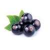 Flavor : sl black currant by Capella Flavors Inc. Flavor : sl black currant by Capella Flavors Inc.