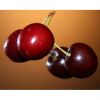 Flavor :  Kirsch Typ Amarena par CBV