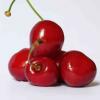 Flavor :  Kirsch Typ Cherry par CBV