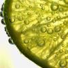 Flavor :  Limetten by CBV