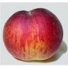 Flavor :  Pfirsich by CBV