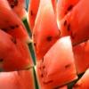 Flavor :  Wassermelonen by CBV