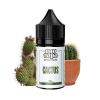 Flavor :  Cactus by CDS Lab