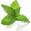 Flavor :  Type N Menthol Tobacco by Chinese Tobacco