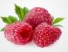 Arôme : Framboise
Dernière mise à jour le : 26-07-2014 Arôme : Framboise
Dernière mise à jour le : 26-07-2014