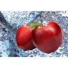 Flavor :  Apple Fizz by CiggyJuice