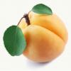 Flavor :  Apricot by CiggyJuice