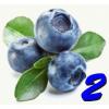 Flavor :  Blueberry 2 by CiggyJuice
