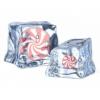 Flavor :  Ice Peppermint by CiggyJuice