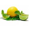 Flavor :  Minty Lemon And Lime by CiggyJuice