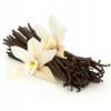 Flavor :  Vanilla Bean Bomb by CiggyJuice