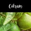 Flavor :  Citrum by Classic Dampf